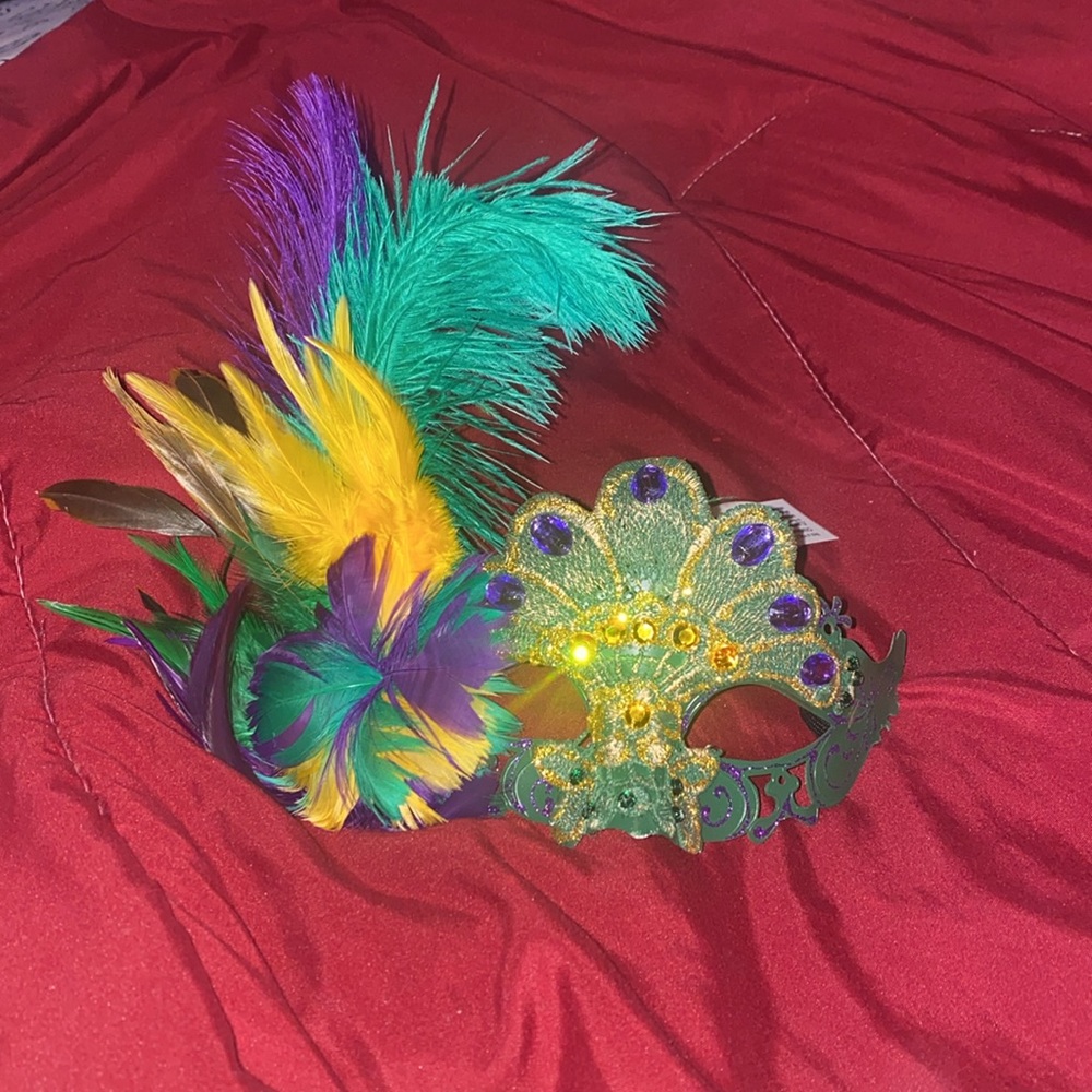 Mardi Gras Mask! Traditional green, gold, and purple mask! - Picture 3 of 5